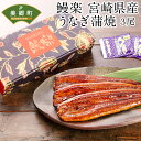 【ふるさと納税】鰻楽 宮崎県産 うなぎ蒲焼 3尾 計480g...