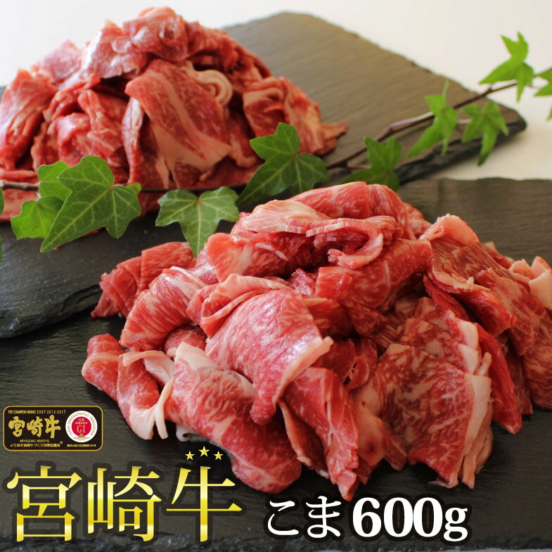 宮崎牛こま肉 600g (300g×2パック) 牛肉 小間 冷凍 内閣総理大臣賞受賞 宮崎県産 九州産 送料無料 肉じゃが 牛丼 野菜炒め 小分け