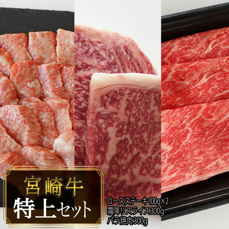 宮崎牛 特上 セット 800g ロース ステーキ 100g×2 霜降り スライス 300g 牛 バラ 焼肉 300g 牛肉 真空 冷凍 内閣総理大臣賞受賞 宮崎県産 送料無料 すき焼き しゃぶしゃぶ 薄切り うす切り 詰め合わせ