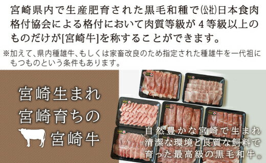 【ふるさと納税】宮崎牛しゃぶすき＆焼肉6ヶ月コース 合計4.2kg 【定期便】牛肉 クラシタ リブロース もも ウデ バラ サーロイン 焼肉 しゃぶしゃぶ すきやき 冷凍 内閣総理大臣賞受賞 宮崎県産 九州産 送料無料