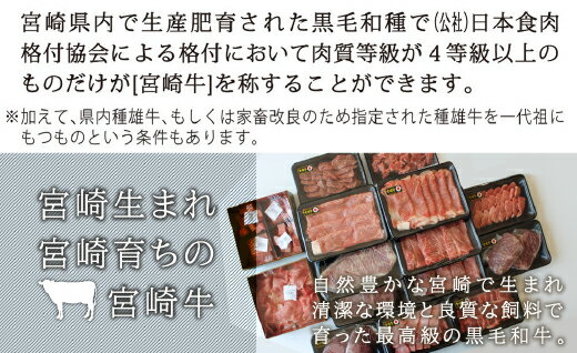 【ふるさと納税】宮崎牛食べ比べ贅の極み9ヶ月コース 合計5.48kg 【定期便】牛肉 サーロイン リブロース もも ウデ バラ ロース ヒレ クラシタ イチボ 肩ロース ラム ステーキ 焼肉 しゃぶしゃぶ すきやき 冷凍 内閣総理大臣賞受賞 宮崎県産 九州産 送料無料