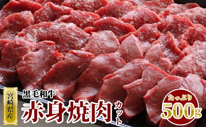 宮崎県産 黒毛和牛 赤身 焼肉 500g ( トレイ包装 ) 牛肉 ウデ モモ 焼肉 冷凍 九州産 送料無料 BBQ バーベキュー