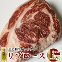 18位! 口コミ数「0件」評価「0」 宮崎県産 黒毛 和牛 リブロース ブロック 1kg 牛肉 ステーキ 焼肉 冷凍 九州産 送料無料 BBQ バーベキュー キャンプ