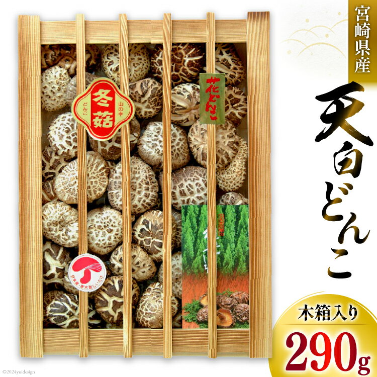 宮崎県産 乾椎茸 ギフト 天白 どんこ 「K-100」 290g 肉厚 [岡田商店 宮崎県 美郷町 31ac0037] 乾燥 椎茸 干し椎茸 しいたけ 国内産 九州産 宮崎県産 ギフト 贈り物 プレゼント 贈答用 化粧箱 木箱 専用箱 送料無料 希少 貴重