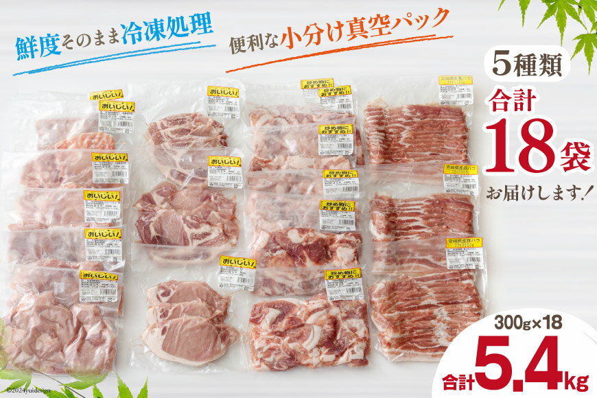 【ふるさと納税】 豚肉 小分け 切り落とし ロース 豚バラ スライス お料理セット 計5.4kg [甲斐精肉店 宮崎県 美郷町 31as0096] 肉 冷凍 宮崎県産 豚 ウデ 腕 切落し 詰め合わせ 真空包装 うす切り 薄切り