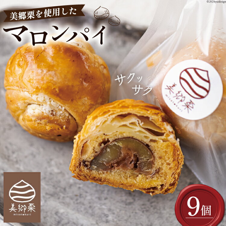 【ふるさと納税】菓子 栗マロンパイ 9個 [栗菓子工房みず穂屋 宮崎県 美郷町 31at0012] 和栗 スイーツ お取り寄せ 栗づくし 冷凍 送料無料 手作り 宮崎県 産 美郷栗 国産 贈答品 ギフトのサムネイル