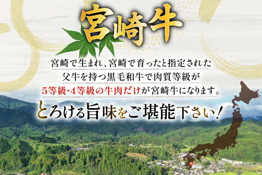 【ふるさと納税】牛肉 定期便 宮崎牛焼肉セット 3ヶ月定期便 [ミヤチク 宮崎県 美郷町 31au0087] 焼肉 冷凍 小分け 個包装 宮崎牛 牛 牛肩ロース 牛ウデ 牛モモ