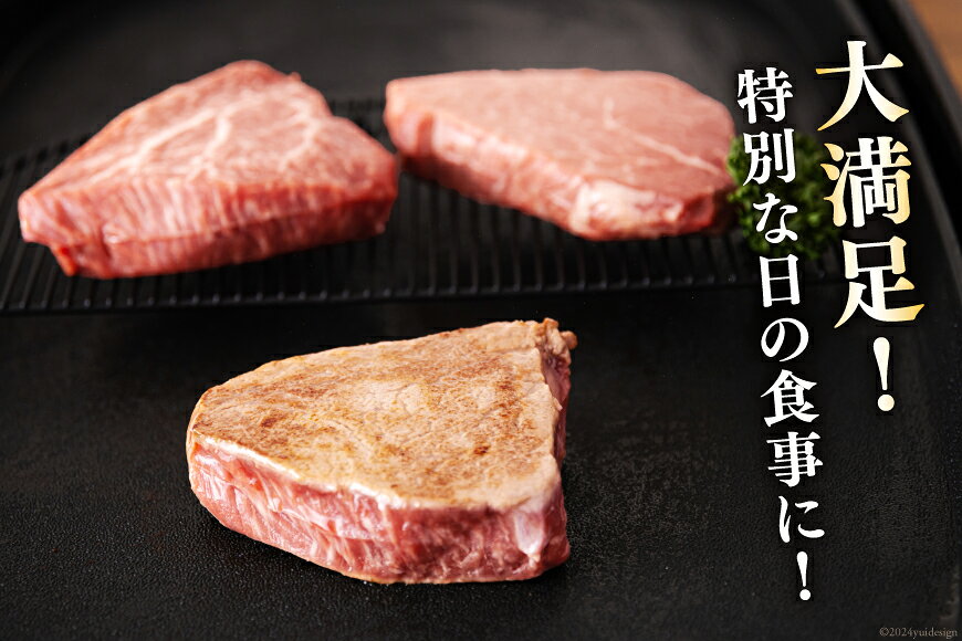 【ふるさと納税】 宮崎県産 黒毛和牛 ヒレ フィレ ヘレ ステーキ 110g ×3枚 計330g [サンアグリフーズ 宮崎県 美郷町 31ba0030-NEW] 小分け 冷凍 送料無料 国産 牛 肉 希少部位 バーベキュー キャンプ 赤身 やわらかい 真空 f454311-misato-10000665 宮崎県美郷町 サンプル画像3