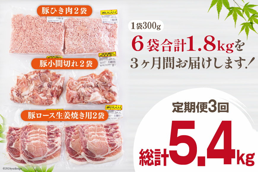 【ふるさと納税】 3回 定期便 宮崎県産 豚肉 3種 セット ひき肉 こま切れ ロース生姜焼き用 小分け 合計5.4kg 各300g×2 [甲斐精肉店 宮崎県 美郷町 31as0116] 冷凍 宮崎県産 豚 肉 送料無料 炒め物 煮込み 豚丼 そぼろ丼 ハンバーグ 豚汁 キーマカレー 詰め合わせ 真空包装