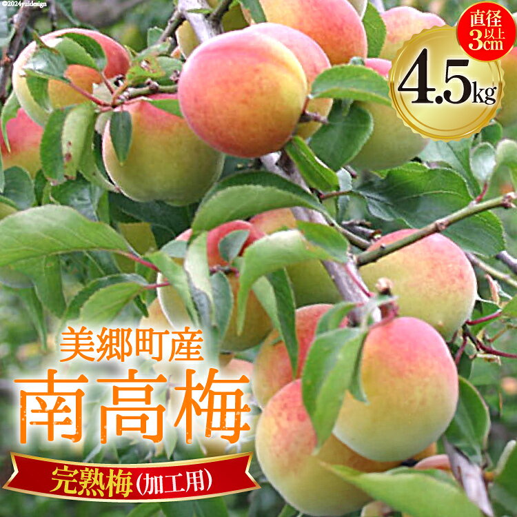 【期間限定】 ※受付期間6月20日まで 美郷町産 「南高梅」 完熟梅 4.5kg 加工用 梅 南高梅 完熟 果物 フルーツ 国産 九州産 宮崎県産 送料無料 大玉 梅干し ジャム