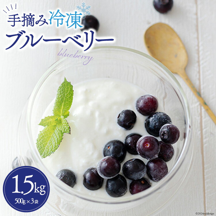 【数量限定】ブルーベリー 冷凍 500g×3袋 1.5kg [農林産物直売所 美郷ノ蔵 宮崎県 美郷町 31ab0091-NEW] 手摘み ヨーグルトに ピッタリ 宮崎県産 産 送料無料 お菓子 おやつ 朝ご飯 朝ごはん 小分け 数量限定