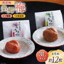 【ふるさと納税】南高梅 梅干し 美郷梅 一粒入り うま味昆布 & シソ風味 各6粒 3Lサイズ A級品 化粧箱入り [農林産物直売所 美郷ノ蔵 宮崎県 美郷町 ...