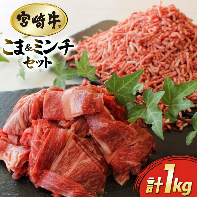 【ふるさと納税】牛肉 宮崎牛 牛こ�
