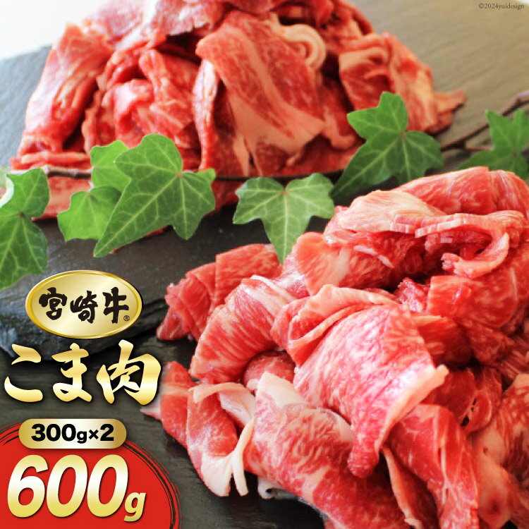 【ふるさと納税】【宮崎牛】こま肉 300g×2パック 計600g [マルミヤストア 宮崎県 美郷町 31ag0060] 肉 牛 牛肉 小間 冷凍 宮崎県産 小分け