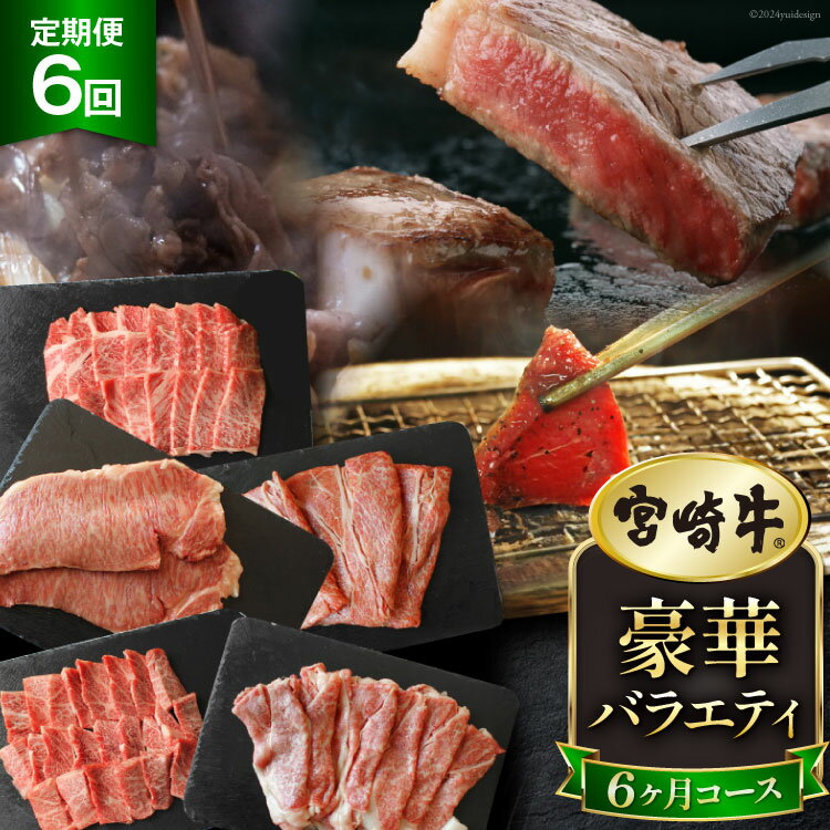 【ふるさと納税】6回 定期便 宮崎牛 豪華 バラエティ 6ヶ月コース 合計4.6kg [マルミヤストア 宮崎県 美郷町 31ag0091] 肉 牛 牛肉 モモ もも 焼肉 バラ 肩ロース スライス サーロイン ステーキ