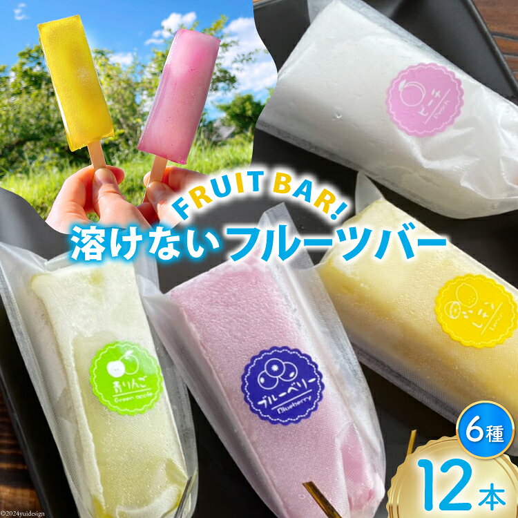 【期間限定発送】 溶けない フルーツバー 12本 セット [栗菓子工房みず穂屋 宮崎県 美郷町 31at0010-NEW] ギフト 夏限定 葛 アイス スイーツ ひんやり もっちり 冷凍 送料無料 母の日 父の日 プレゼント ギフト 青りんご ストロベリー いちご ピーチ