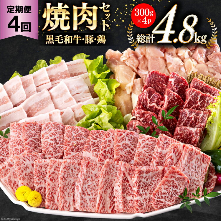 4回 定期便 宮崎県産 焼肉 セット 黒毛和牛 モモ カルビ 豚バラ 若鶏 モモ 合計4.8kg 各300g [サンアグリフーズ 宮崎県 美郷町 31ba0037-NEW] 小分け 冷凍 送料無料 国産 BBQ バーベキュー キャンプ 普段使い 炒め物 丼 カット 詰め合わせ 経産牛