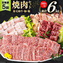 【ふるさと納税】牛肉 5回 定期便 宮崎県産 焼肉 セット 黒毛和牛 モモ カルビ 豚バラ 若鶏 モモ 各 300g 計 6kg [サンアグリフーズ 宮崎県 美...