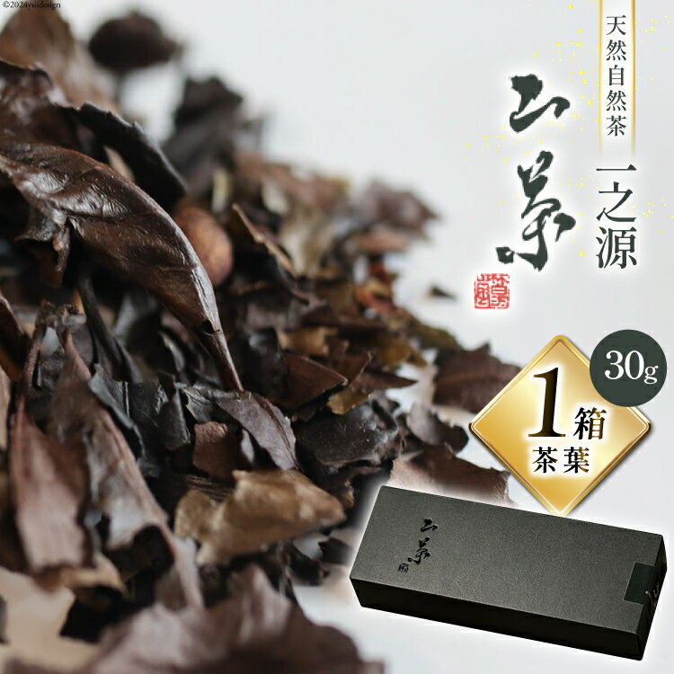 茶葉 山茶 一之源 30g×1箱 [特定非営利活動法人 西林 宮崎県 美郷町 31bc0005-NEW] 宮崎県産 産 送料無料 茶 数量限定 限定 手摘み ティータイム 休憩 おやつ