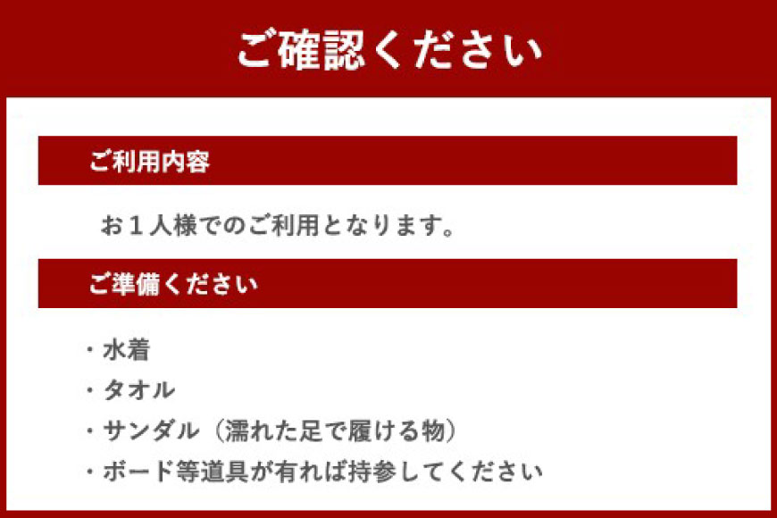 【ふるさと納税】 体験 ウェイクサーフィン 15分 [SHOP川口機工 宮崎県 美郷町 31bj0016] アクティビティ 夏 スポーツ体験 スポーツ コース マリンスポーツ 利用券 利用権 2