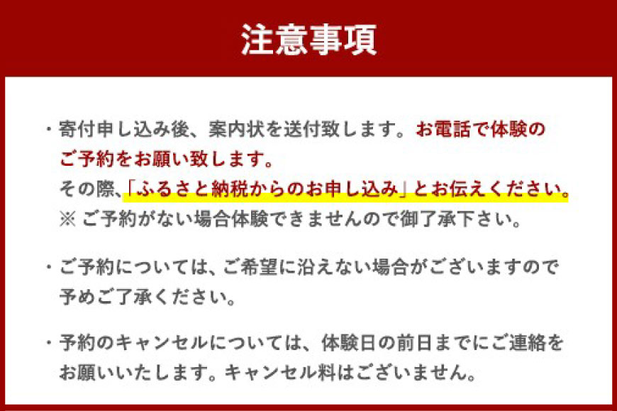 【ふるさと納税】 体験 ウェイクサーフィン 15分 [SHOP川口機工 宮崎県 美郷町 31bj0016] アクティビティ 夏 スポーツ体験 スポーツ コース マリンスポーツ 利用券 利用権 3