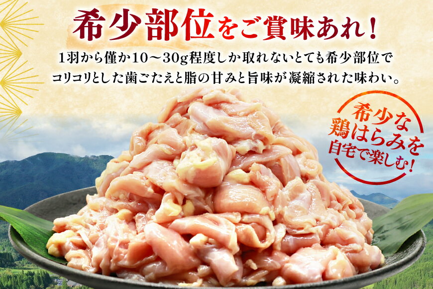 【ふるさと納税】 鶏肉 若鶏 はらみ 2kg 鶏はらみ [ミヤケイフード 宮崎県 美郷町 31bp0021] 鶏 肉 ハラミ 冷凍 小分け