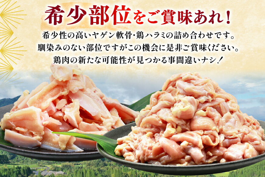 【ふるさと納税】 鶏肉 詰め合わせ 宮崎県産 若鶏 鶏ハラミ 鶏ヤゲン軟骨 各1kg 計2kg [ミヤケイフード 宮崎県 美郷町 31bp0022] 小分け 冷凍 はらみ ハラミ 鶏はらみ ヤゲン 軟骨 ヤゲン軟骨 鶏