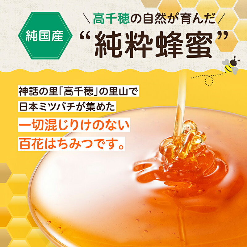 【ふるさと納税】 日本みつばち 高千穂の純粋蜂蜜 300g×2本セット 合計600g 国産はちみつ 瓶 蜂蜜 調味料 百花蜂蜜 天然 純粋蜂蜜 自然蜜 セット 贈答 贈り物 ギフト プレゼント お祝い お取り寄せグルメ グルメ 高千穂産 国産 九州 宮崎県 高千穂町 送料無料
