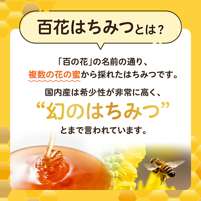 【ふるさと納税】 日本みつばち 高千穂の純粋蜂蜜 300g×2本セット 合計600g 国産はちみつ 瓶 蜂蜜 調味料 百花蜂蜜 天然 純粋蜂蜜 自然蜜 セット 贈答 贈り物 ギフト プレゼント お祝い お取り寄せグルメ グルメ 高千穂産 国産 九州 宮崎県 高千穂町 送料無料