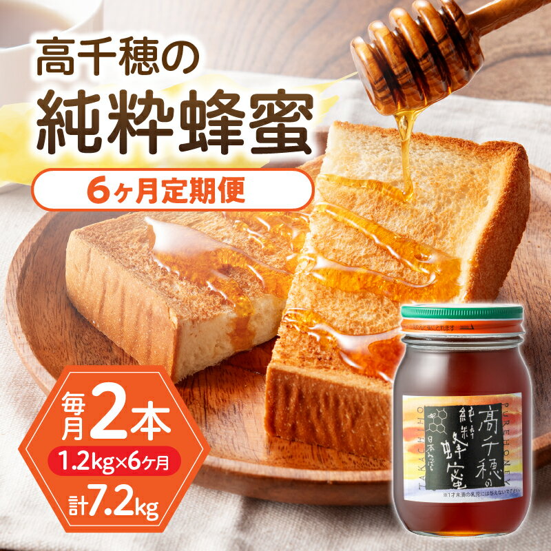 【ふるさと納税】【6ヶ月定期便】日本みつばち 高千穂の純粋蜂蜜 600g×2本 セット 瓶 蜂蜜 はちみつ ハチミツ 百花蜜 自然蜜100% 調味料 定期便 定期 はちみつセット 瓶 贈答 贈り物 ギフト プレゼント おすそ分け 普段使い セット 高千穂産 国産 宮崎県 九州 送料無料