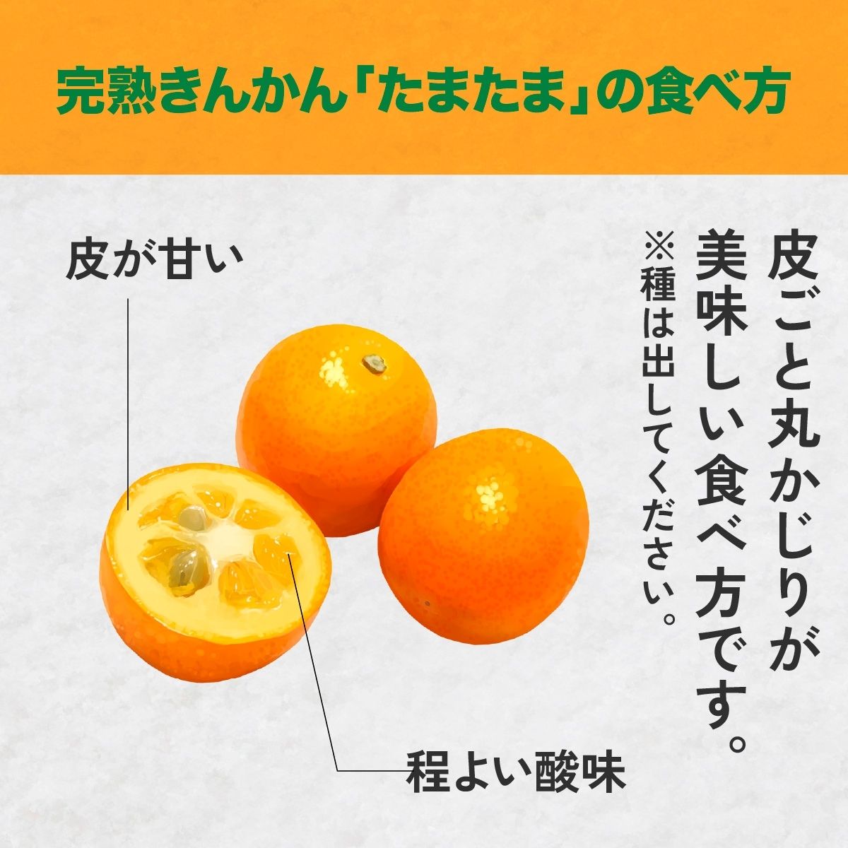 【ふるさと納税】完熟きんかん たまたまエクセレント 1kg 果物 フルーツ デザート スイーツ きんかん きんかんたまたま 完熟 宮崎県産 国産 宮崎産 贈答 贈り物 ギフト プレゼント ブランド 柑橘 柑橘系 柑橘類 おやつ グルメ お取り寄せ 宮崎県 高千穂町 送料無料