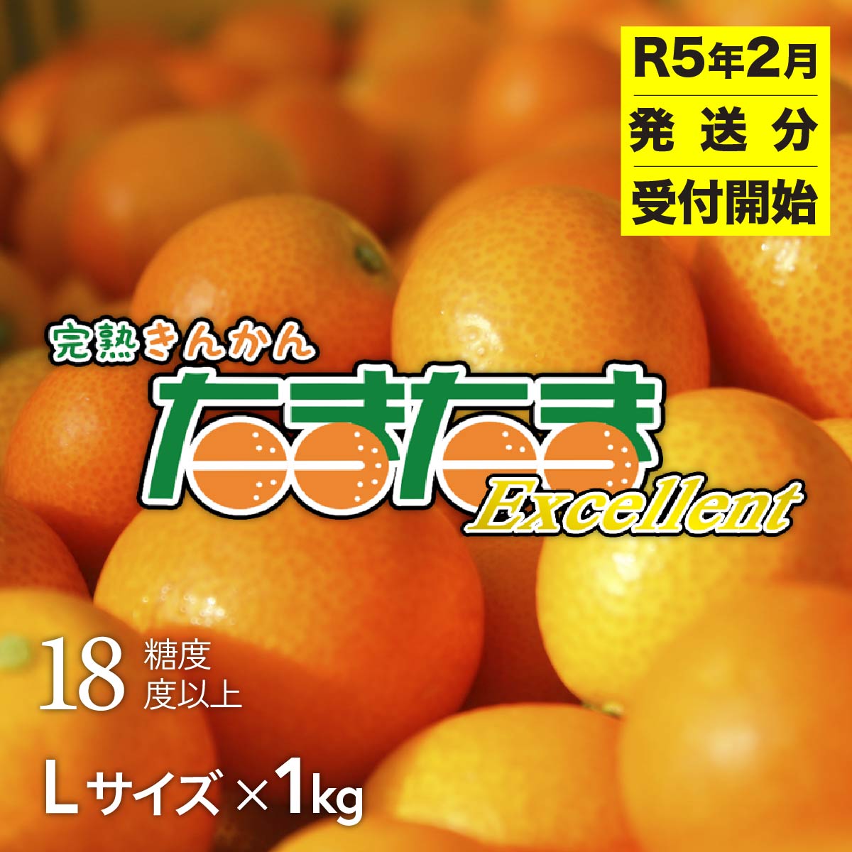 【ふるさと納税】完熟きんかん たまたまエクセレント（2月限定） 宮崎県 高千穂 きんかん R5年2月発送 C-9