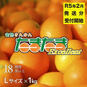 【ふるさと納税】完熟きんかん たまたまエクセレント（2月限定） 宮崎県 高千穂 きんかん R5年2月発送 C-9