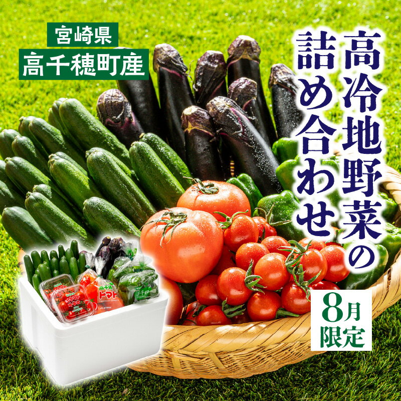 【ふるさと納税】C-8 高冷地野菜の詰め合わせ（8月限定）のサムネイル