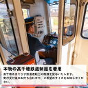 【ふるさと納税】【楽天ふるさと納税限定】 本物の車両が運転できる！高千穂あまてらす鉄道　気動車「TR-202」運転体験 1名様 宮崎 貴重 リアル 廃線 未来 復活 感動 A205 3