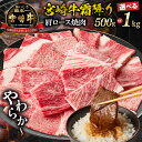 【ふるさと納税】《レビューキャンペーン》【選べる内容量】宮崎牛霜降り(肩ロース)焼肉 計500g~1kg 宮崎牛 国産牛 和牛 牛肉 焼肉 赤身 霜降り 肩ロース ロース ギフト ミヤチク 宮崎県 高千穂町 送料無料