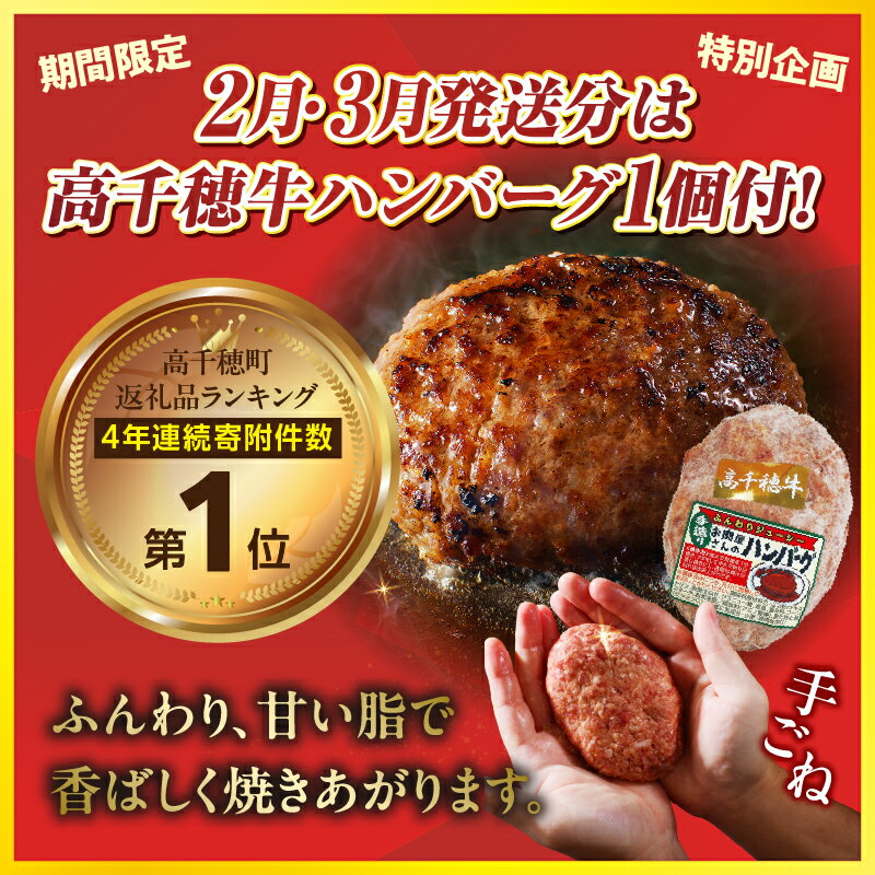 【ふるさと納税】【期間限定】宮崎県産黒毛和牛A4等級以上 高千穂牛すね肉 800g + 高千穂牛100％ハンバーグ1個 牛肉 肉 お肉 牛すね肉 牛すね すね肉 国産牛 ブランド牛 和牛 国産牛肉冷凍 料理 煮込み料理高千穂町産 宮崎県 高千穂町 送料無料