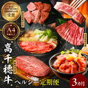 【ふるさと納税】【3か月定期便】高千穂牛ステーキ定期便 牛肉 肉 肩ロースステーキ サイコロステーキ モモステーキ 赤身 ロース モモ霜降り 宮崎牛 アウトドア...