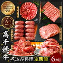 【ふるさと納税】【6か月定期便】高千穂牛煮込み料理6か月定期便 牛肉 肉 肩ロースステーキ サイコロステーキ モモステーキ 赤身 ロース モモ霜降り 宮崎牛 ア...