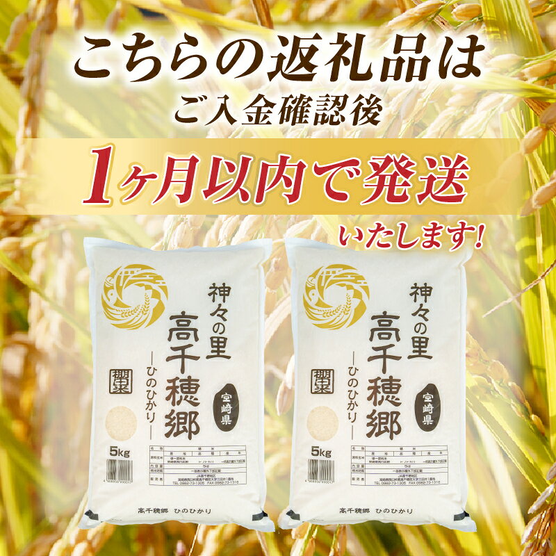 【ふるさと納税】【選べる内容量】《令和7年産　新米》高千穂地区 ひのひかり 米 お米 白米 ごはん 白飯 精米 ひのひかり 国産 宮崎県産 高千穂町産 単一原料米 農作物 農産物 おすそ分け 普段使い 炭水化物 主食 贈答 贈り物 プレゼント おすすめ 宮崎県 高千穂町 送料無料