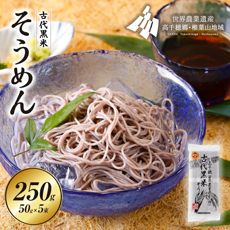 【ふるさと納税】古代黒米そうめん