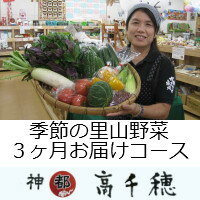 【ふるさと納税定期便】A-7 季節の里山野菜 3ヶ月お届けコース