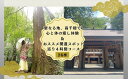 【ふるさと納税】聖なる地、高千穂で心と体の癒し体験!&おススメの開運スポット巡り4時間コース 2名様 旅 旅行 家族旅行 夫婦旅行 新婚旅行 銀婚旅行 トラベル...