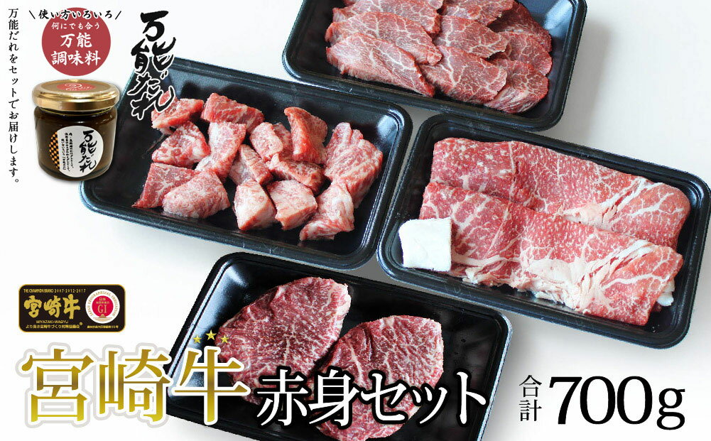 宮崎牛 赤身 セット 合計700g 4種 & 万能だれ140g 国産牛 牛肉 お肉 モモ ステーキ 焼肉 スライス サイコロ 焼き肉 かけダレ 和えダレ 調味料冷凍 国産 宮崎県 九州 送料無料