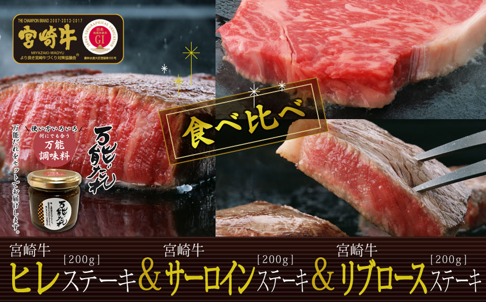 【ふるさと納税】S-14 宮崎牛 ステーキ 食べ比べ 合計6