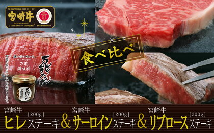 S-14 宮崎牛 ステーキ 食べ比べ 合計600g 3種 ＆ 万能だれ140g セット 国産牛 牛肉 お肉 リブロース サーロイン ヒレ 焼肉 かけダレ 和えダレ 調味料冷凍 国産 宮崎県 九州 送料無料