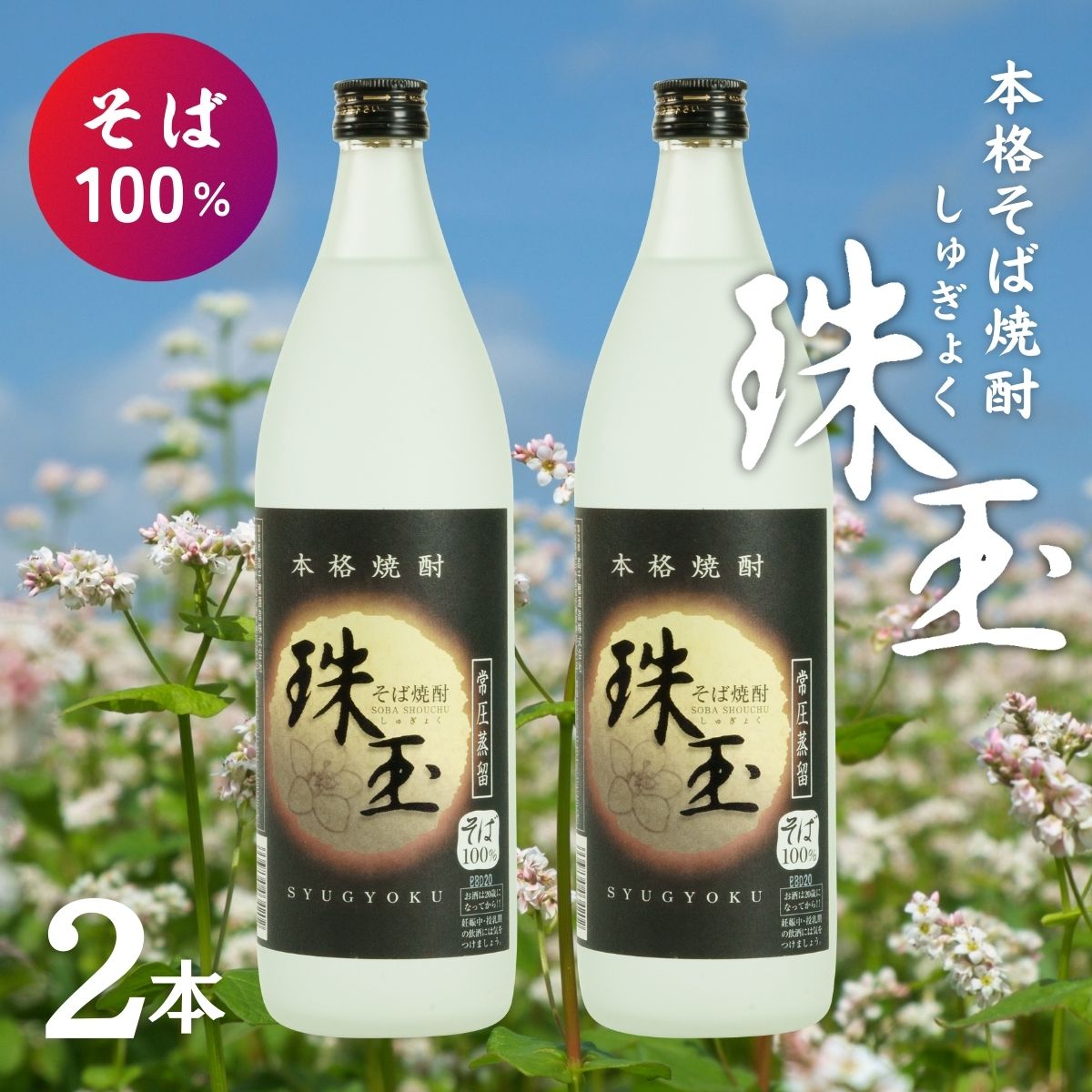 【ふるさと納税】本格そば焼酎 珠玉（しゅぎょく）900ml／2本セット 高千穂酒造 蕎麦 A100のサムネイル