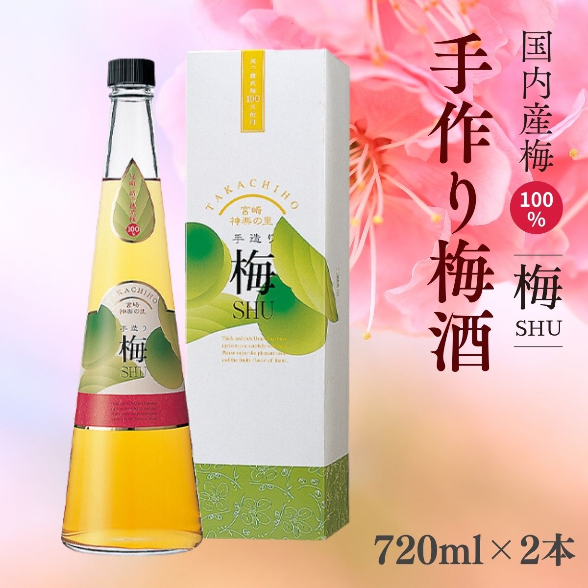 【ふるさと納税】手造り梅酒 14% 720ml×2本セット A-152