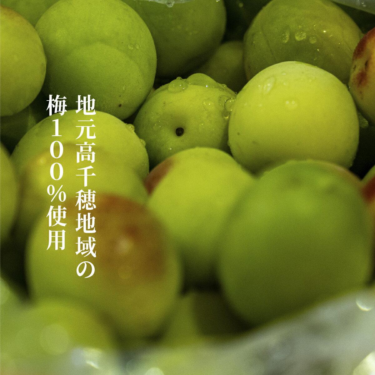 宮崎県高千穂町の画像2