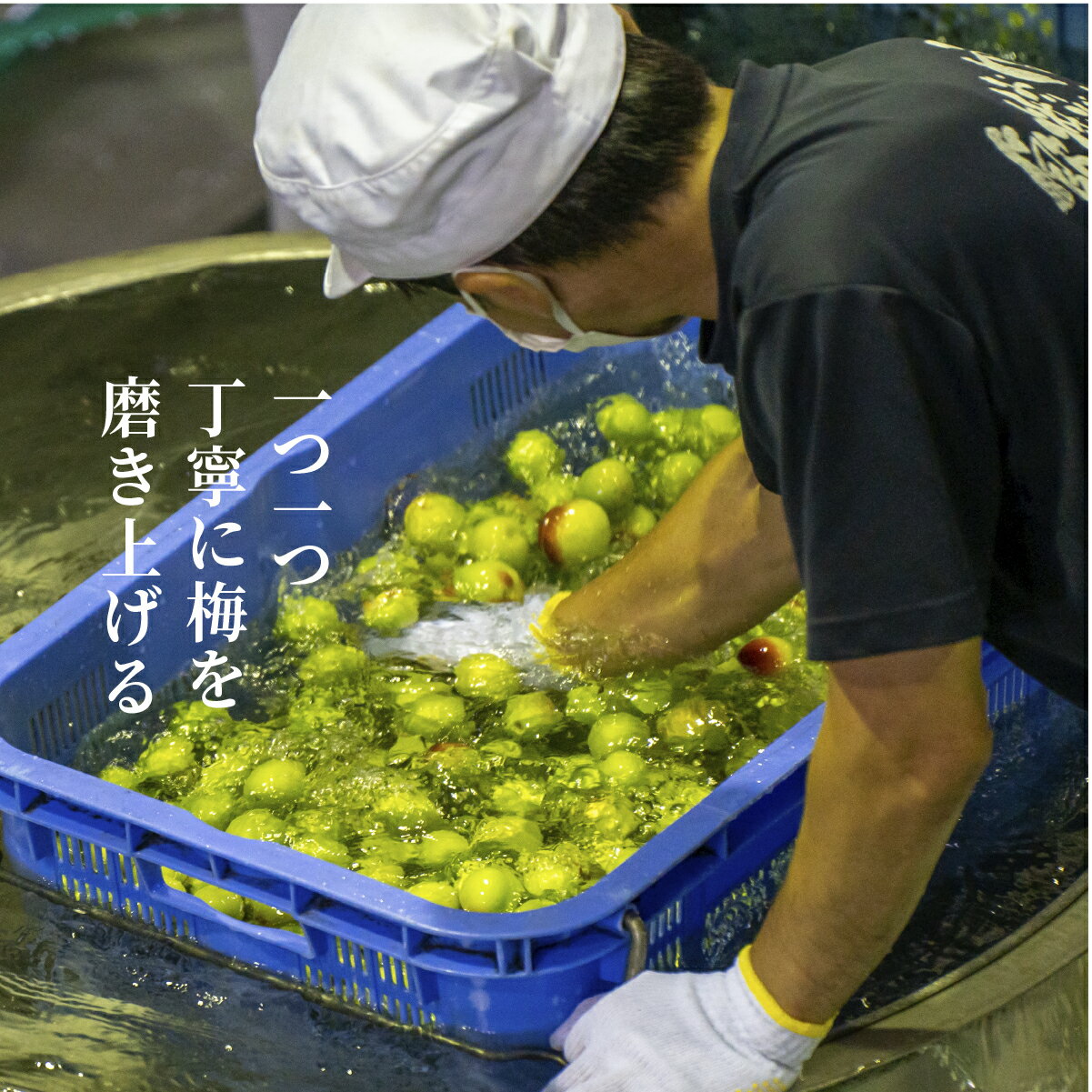 宮崎県高千穂町の画像3